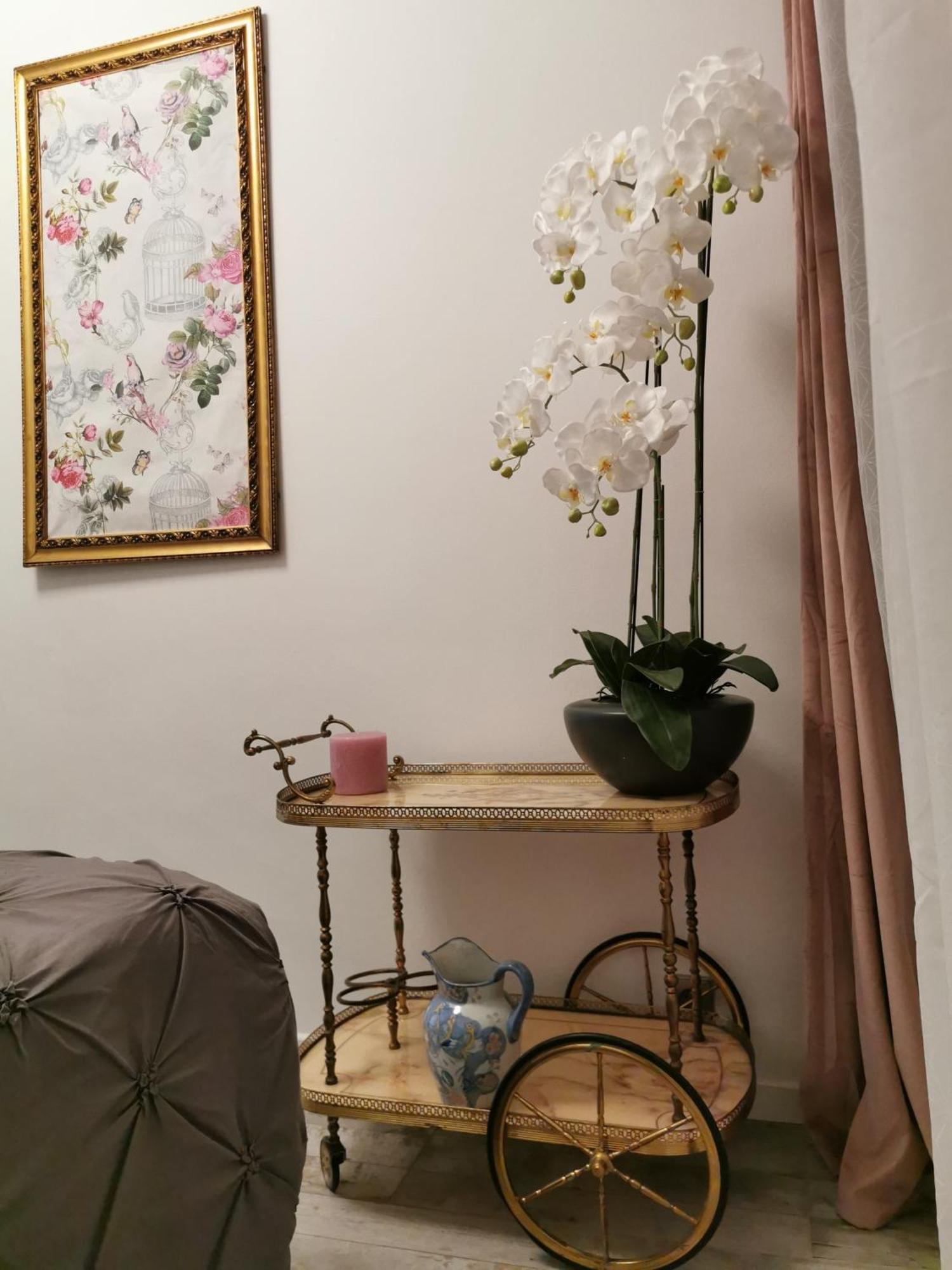 Ferienwohnung L'Ensoleillee Nizza Zimmer foto